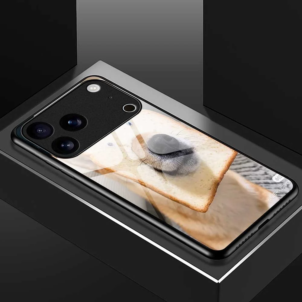 For iPhone 17 Pro Max Case PC TPU Tempered Glass Pattern Printing Phone Back Cover - B0120 - Image 7